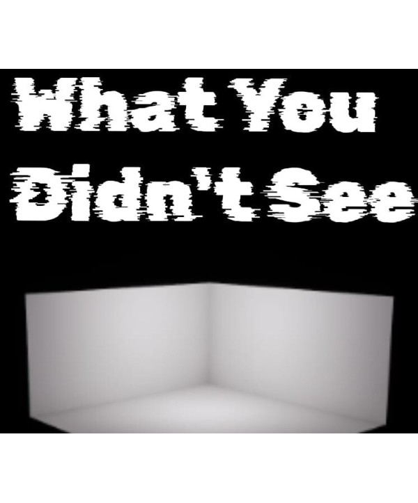 What You Didn t See Steam Key GLOBAL